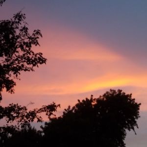 Meet your Posher, Heidi